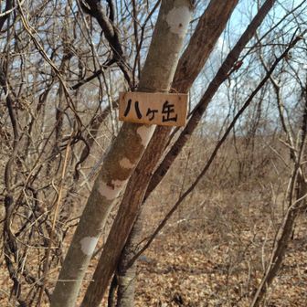 臼田の離山と同じくらいの大きさ
缶と岳が合体したような🧐