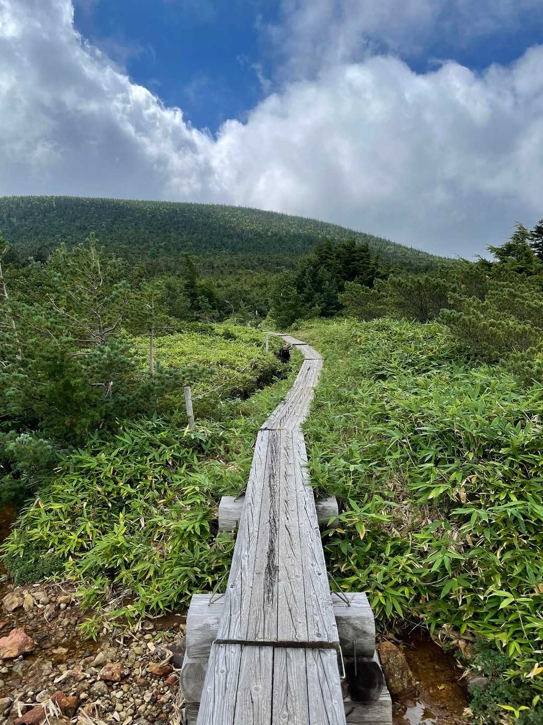 こういう感じで山頂まで行くのか？