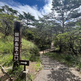 頑張る💪
