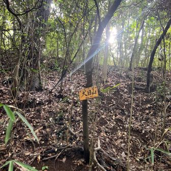 道はあるんだけど、ほとんどハイカー来てないのか蜘蛛の巣🕸️だらけでやっと山頂