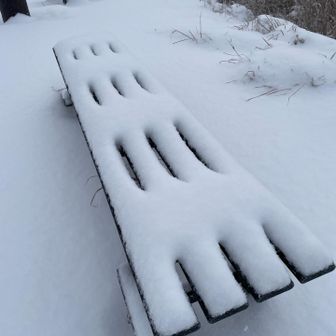 雪もっこり。