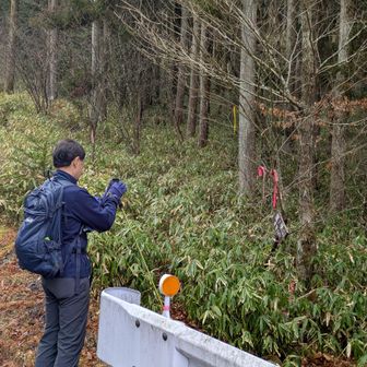 生い茂って中々見にくい、東登山口から。