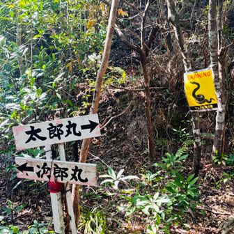 太郎、次郎分岐。
最初太郎丸嶽に登ります⛰️