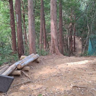 3コースの合流点