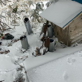 これからも、心身ともに健康で歩き続けられますように🤲