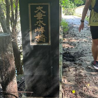 ここがあの有名な大垂水峠！