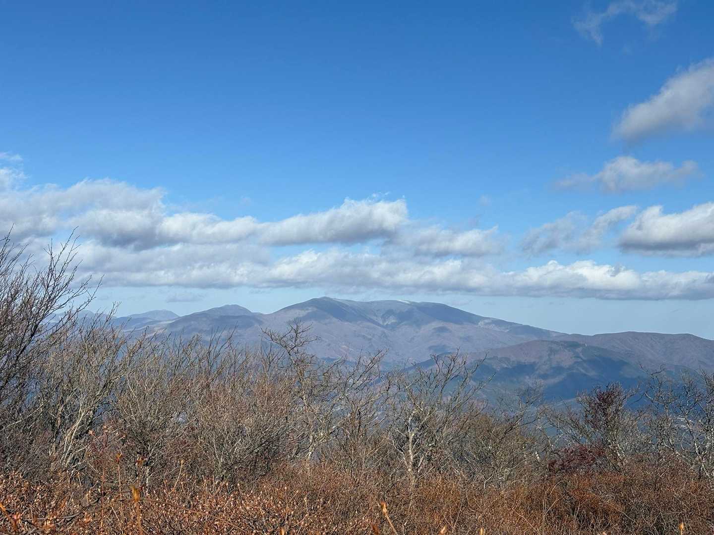 氷上山 往復コースの写真