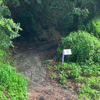 小雨☔スタート😊「今日は涼しいかも♪」と思ったら　歩き始めて5分で汗だくでした🤣💦