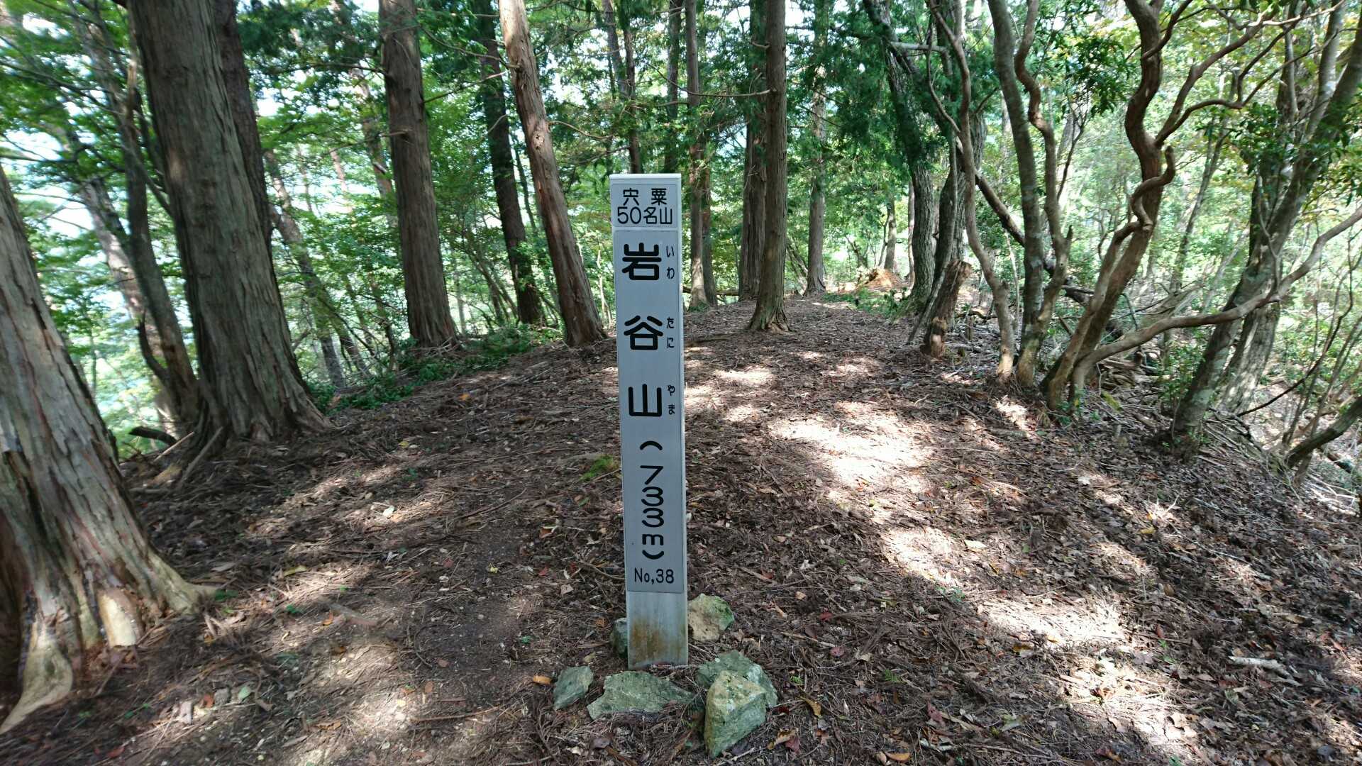 やっと岩谷山
50名山
展望なし💦