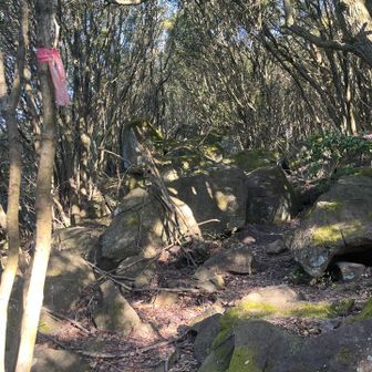 思えば、最後は岩🪨岩だった💦