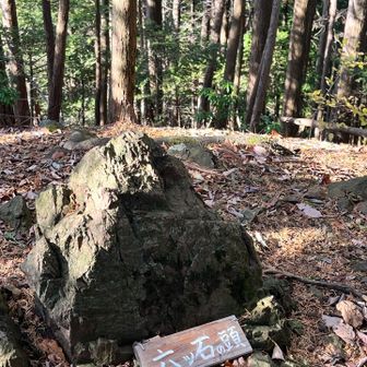 六ツ石の頭

これが六ツ石？