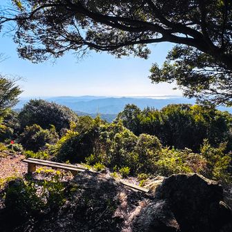 
どのてっぺんも オーシャンビューが目の前で
ベンチあって
凄ない❓
すごいやんなー このあたりの山
