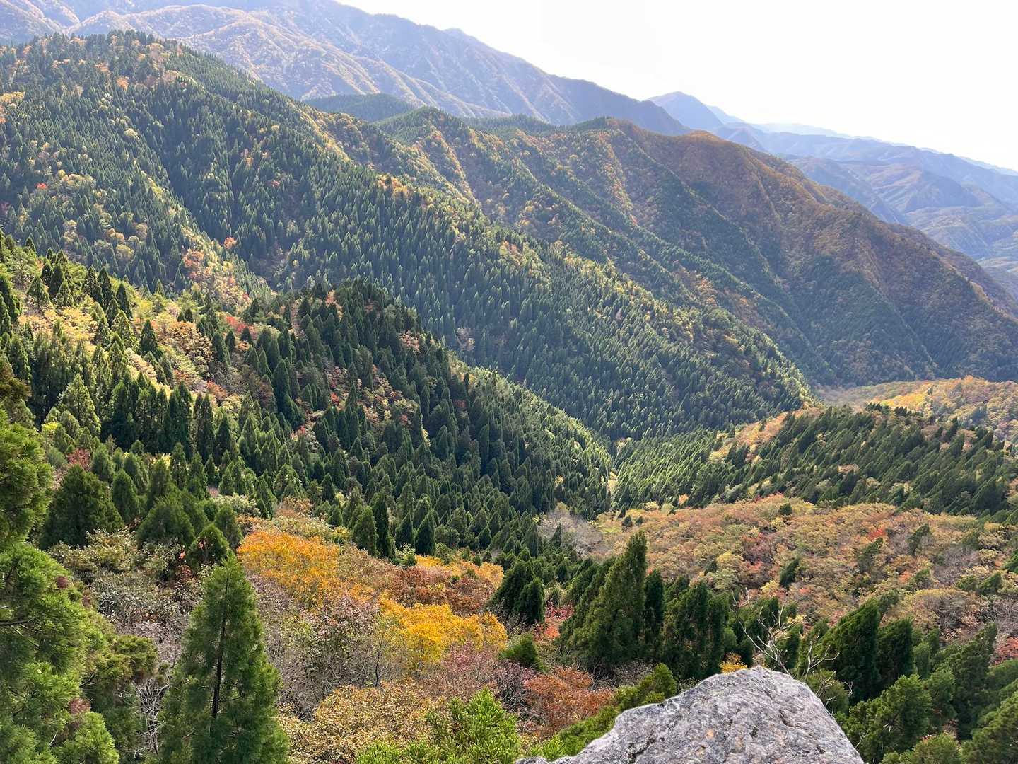 まだ早いけど景色素敵