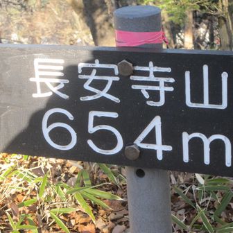 そして３つ目のピーク長安寺山
蟻山からアップダウンを繰り返したのに４ｍしか変わってないね