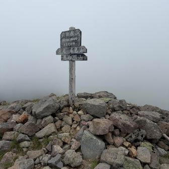 前白根山⛰️広い山頂です