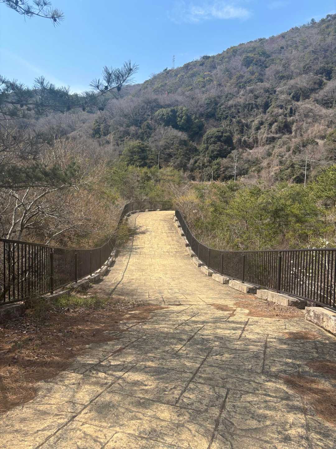 万里の長城と言われているんだとか。