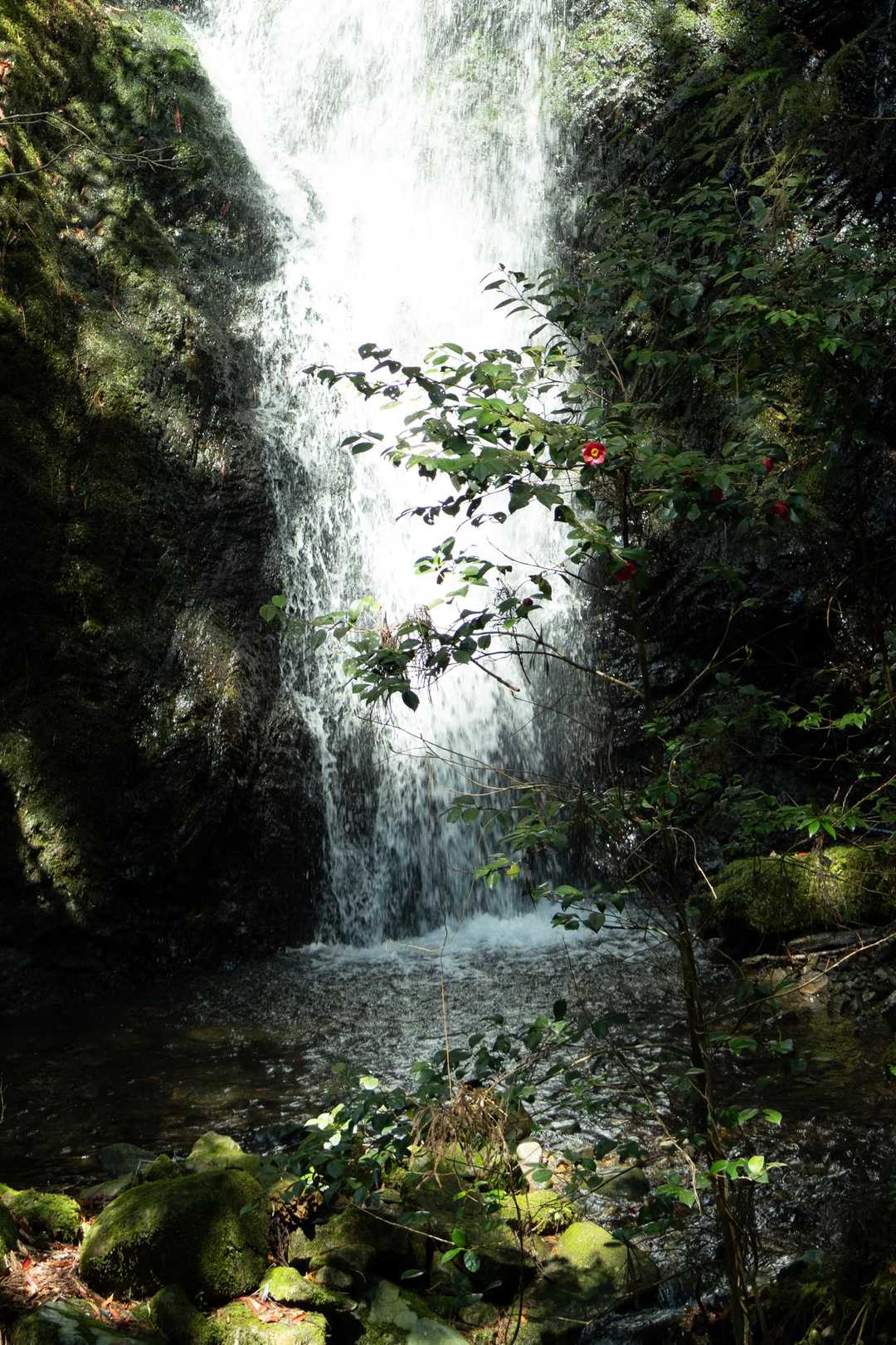 納古山尾根コース入口-納古山中級コース入口-納古山-納古山 周回コースの写真