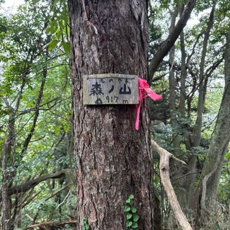 森ノ山山頂。