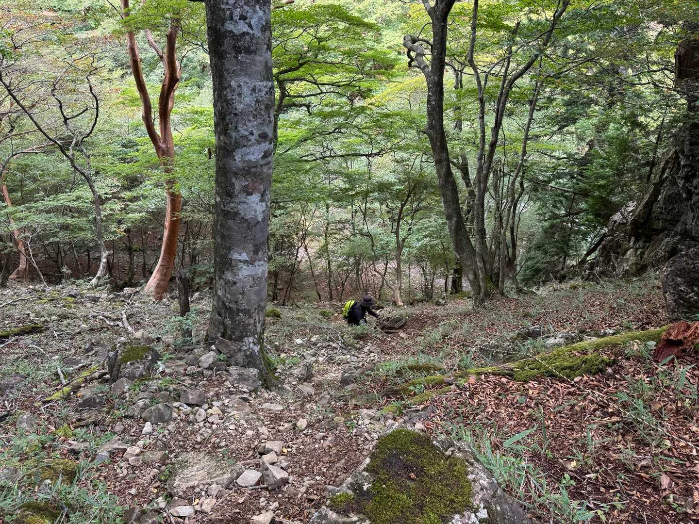 マコトさん、頑張れ❗️
最近はこれ多いな🤔