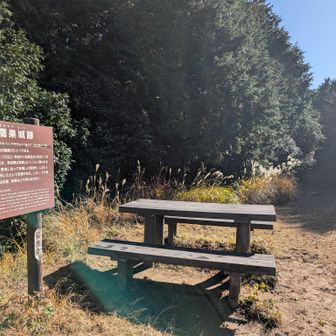 鷹ノ巣山に着く