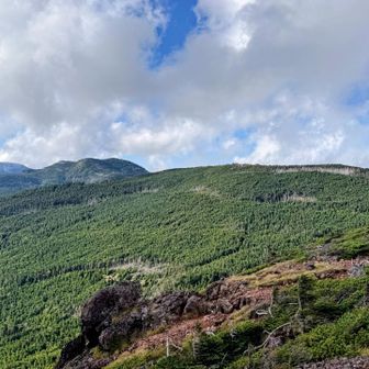 やっと縞枯山の縞枯を拝見できました🦓
山頂に戻って縞枯山に向かいます