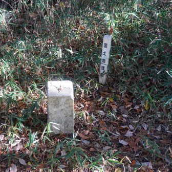 和田山(北山) 山頂
麓の神社からこの辺りにかけて、和田山城が有った
築城年代は定かではないが、佐々木六角氏の一族和田氏の城とされる
永禄11(1568)年、織田信長が近江に侵攻したとき、観音寺城主の佐々木六角氏は箕作山城や和田山城などに守将を置いて守りを固めさせたが、信長は周辺の諸城を無視して箕作山城を攻め落としたため、六角氏は観音寺城を脱して甲賀へ逃れた