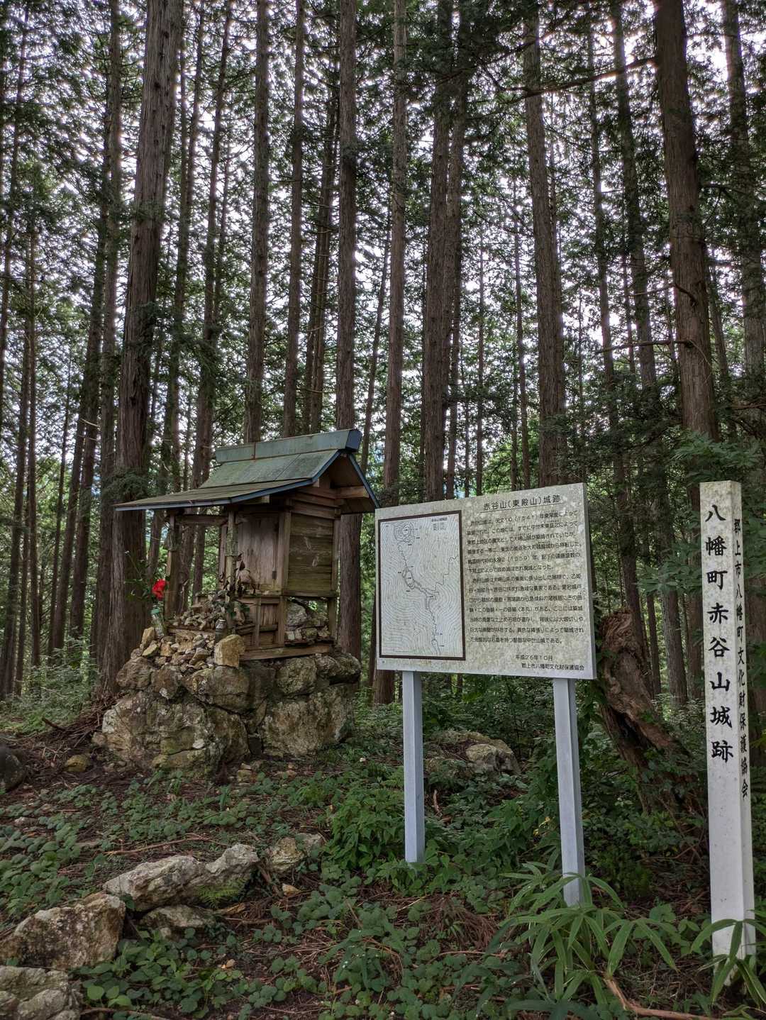 東殿山 周回コースの写真