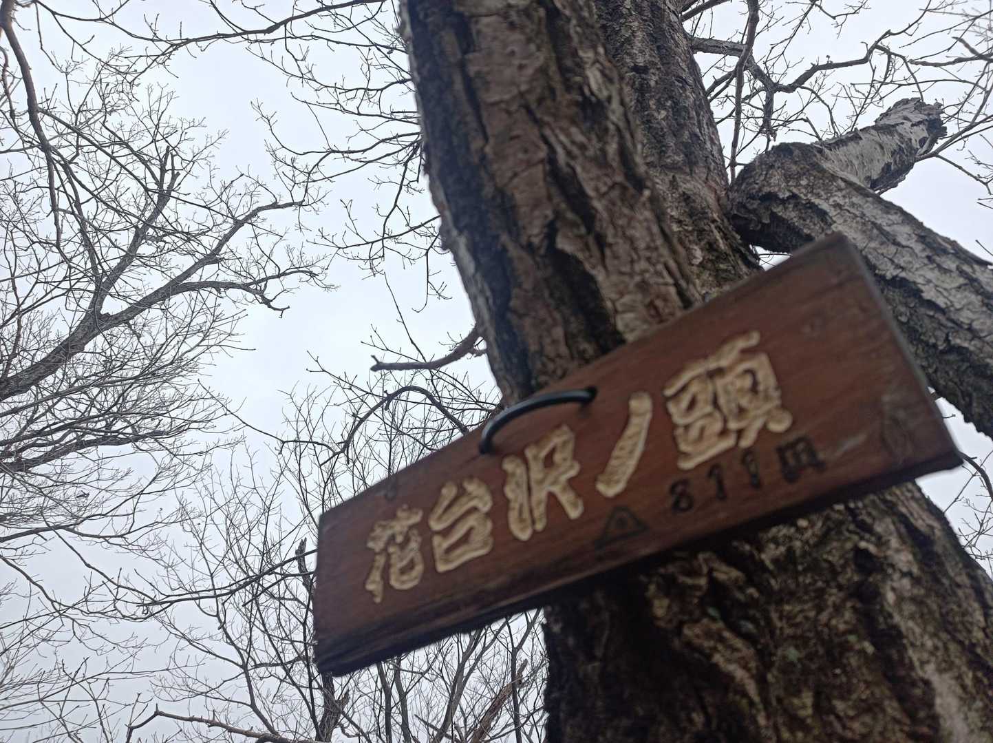 鳴神山手前のお山⛰️
ここまで来れば、行くっきゃ無い(*•̀ᴗ•́*)وってなるなる‼️