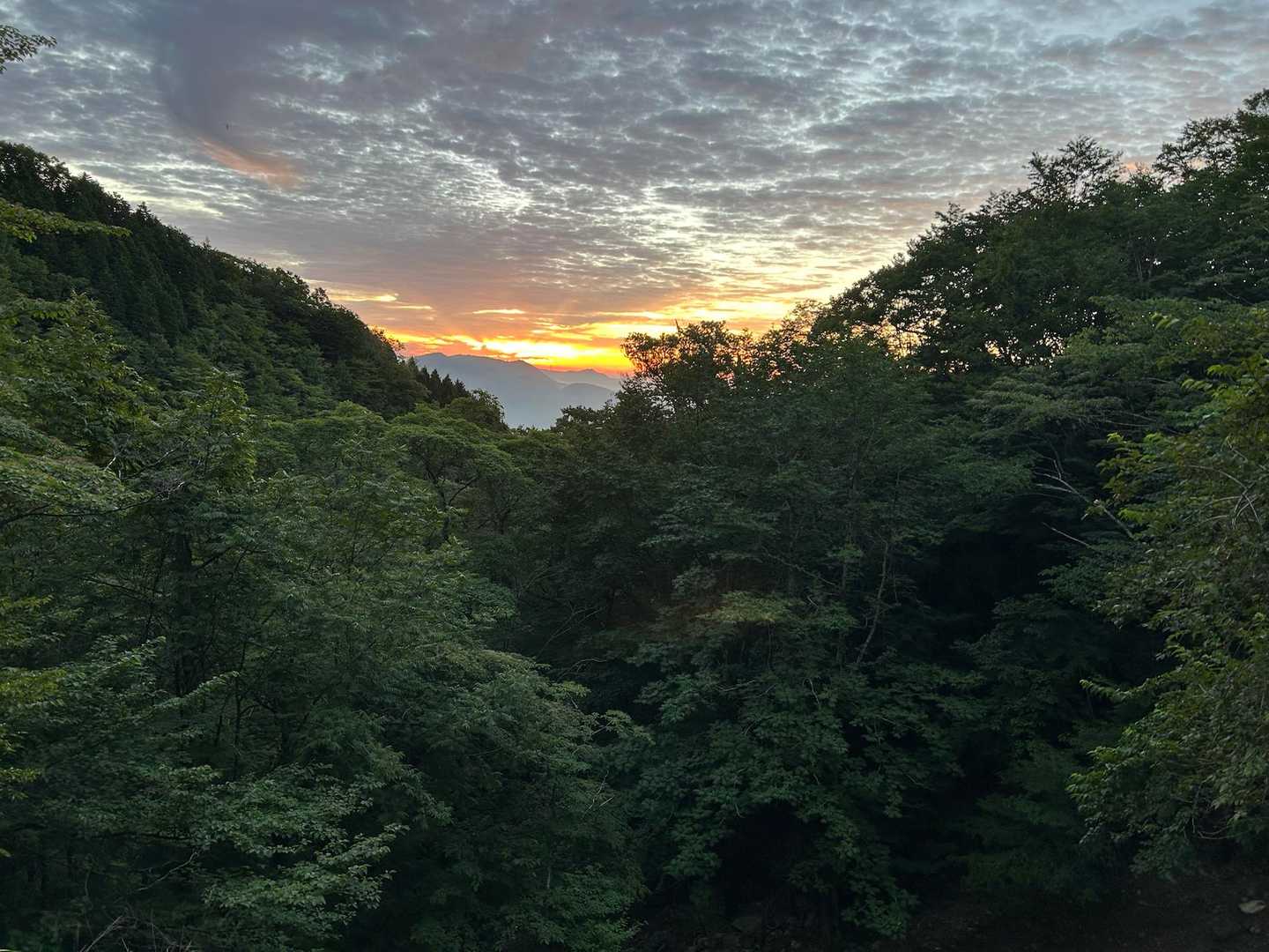 ゴボウ畠登山口を目指す。　今日は長丁場だ