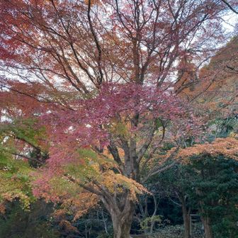 中山寺奥の院の景色