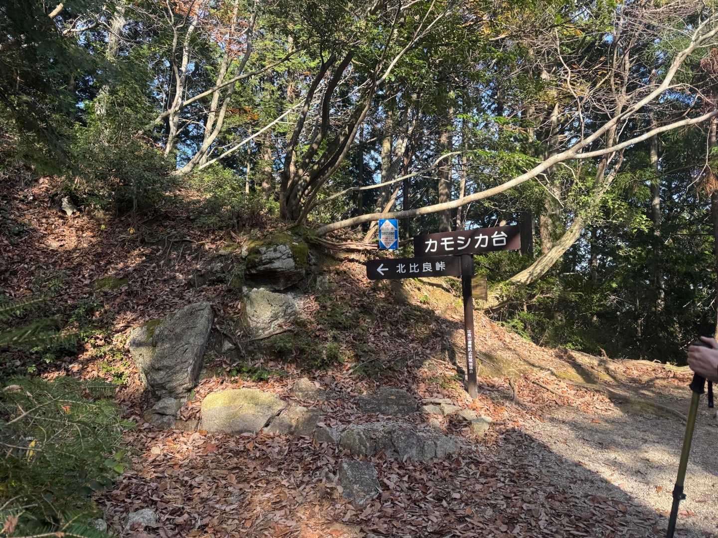 北比良峠までだいたい半分の地点。
少しだけ休憩しました。