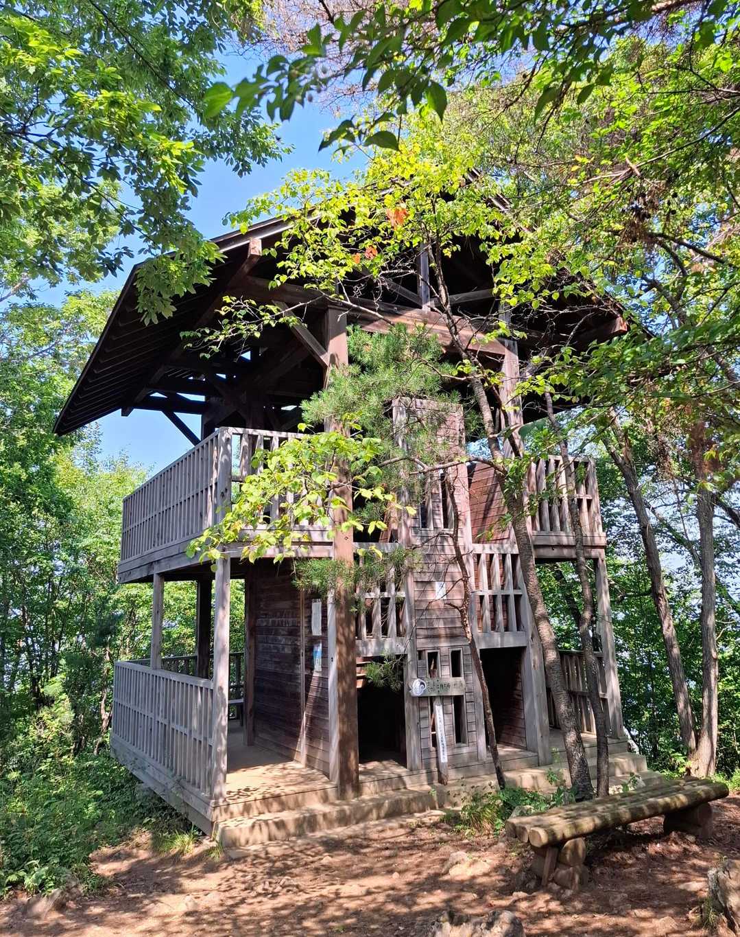 暑くて凍ったペットボトルを持ち、溶けた水を飲みながら歩くと、小屋が見えてきました🏚️休憩します🥤

休憩後、少し先に進むと👣、