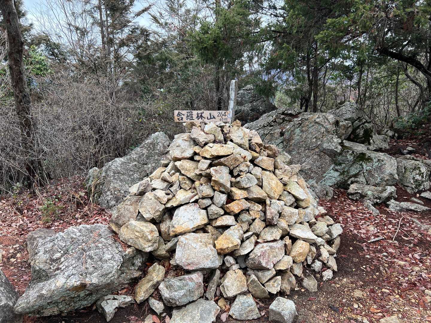 舎羅林山⛰到着〜✨
（オシャレな名前やね😊）