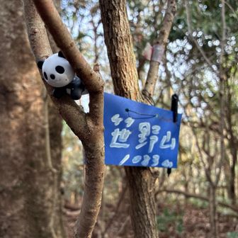 🐼挟まってる🤭

助けなくて大丈夫だよ👌

そこが気に入ったみたいだからね笑

アロンアルファ固まって出ない💦
おっとなんでも無いよ🤭