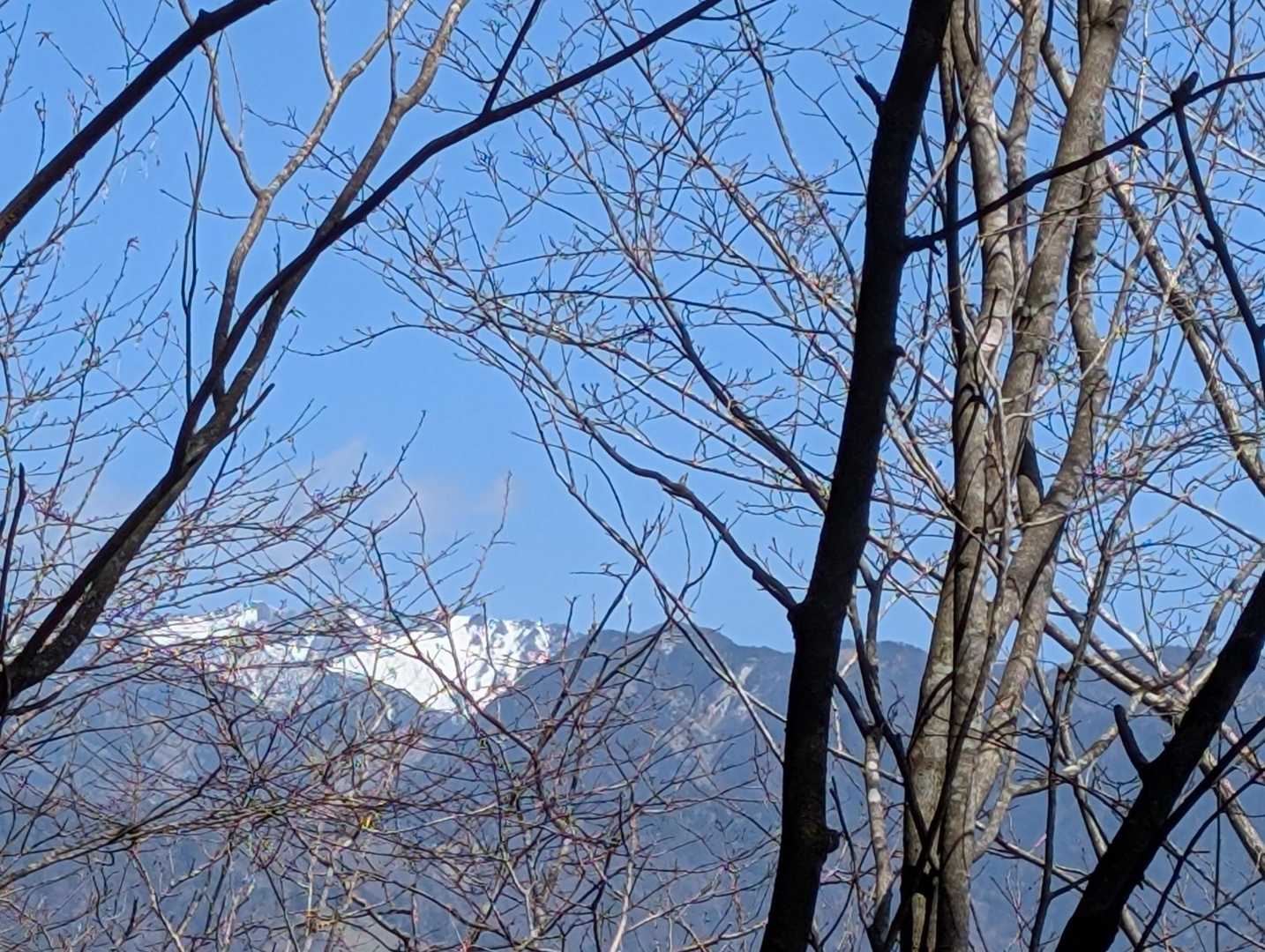 中央アルプス南駒か空木あたり…
