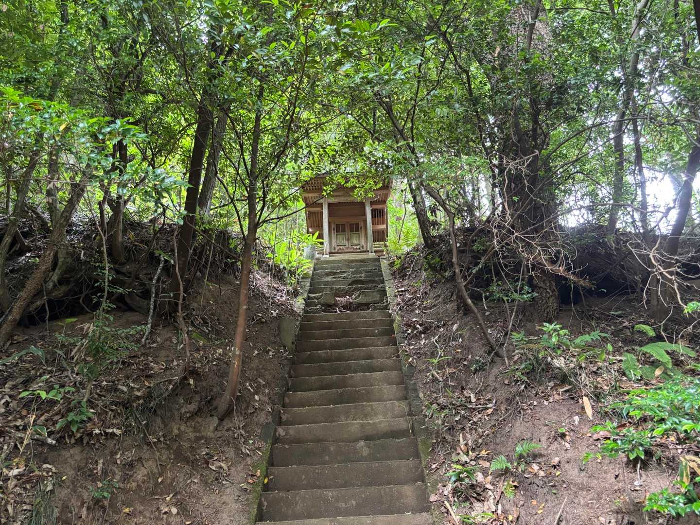 ｻﾑﾊﾗ神社 元宮