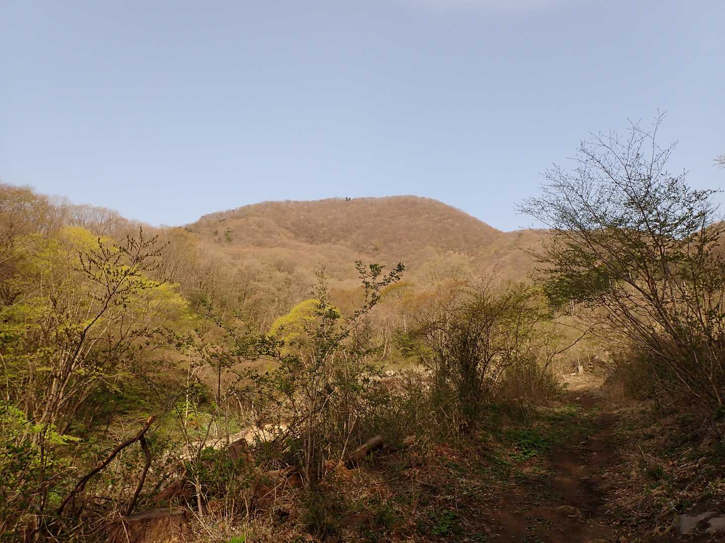 青麻山 往復コースの写真