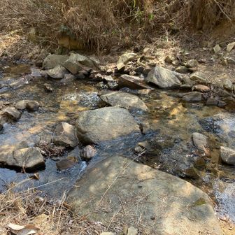 仏平山南口の沢