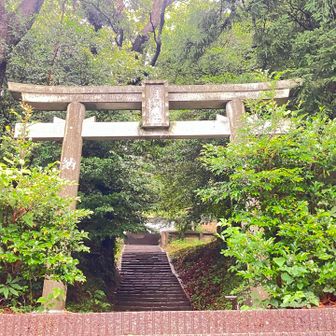 山頂へは白鳥神社の鳥居からスタートです⛩