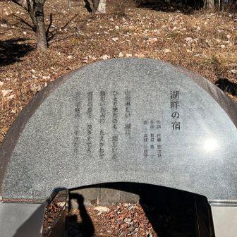 駐車場🅿️横になんかあった