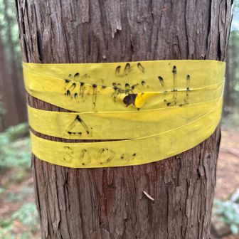 御嶽山登頂300m
ちょっと寂しい😞