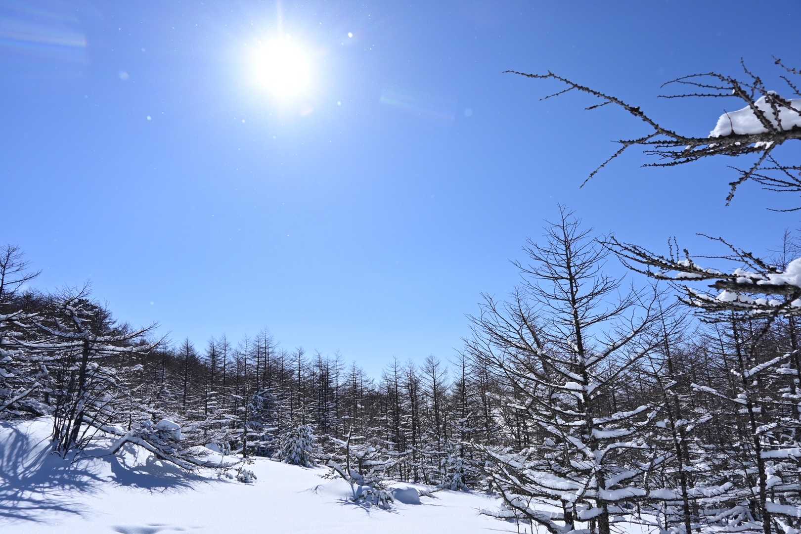 黒斑コース登山口-車坂山-トーミの頭 往復コースの写真