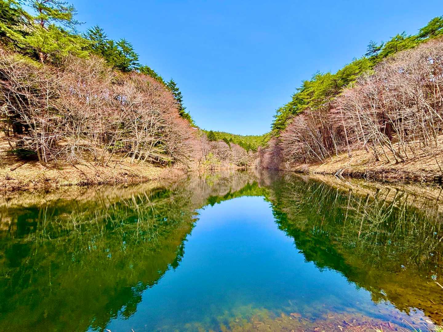 天気がいいので、いい画角