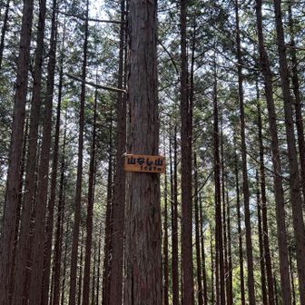 かわいい山頂標識 山なし山