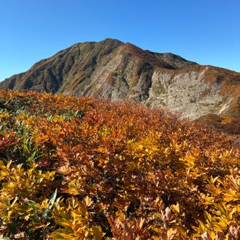 何度も何度も振り返ります🍁🍁