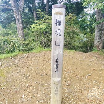 権現山