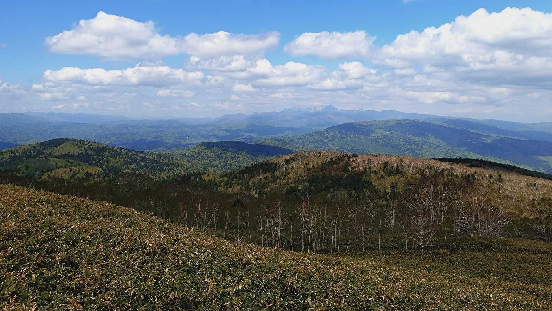 霞んではいたものの、芦別岳と樽前山＆風不死岳は見れました🗻