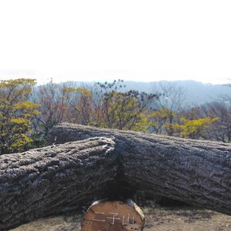 展望台に登ってみる
