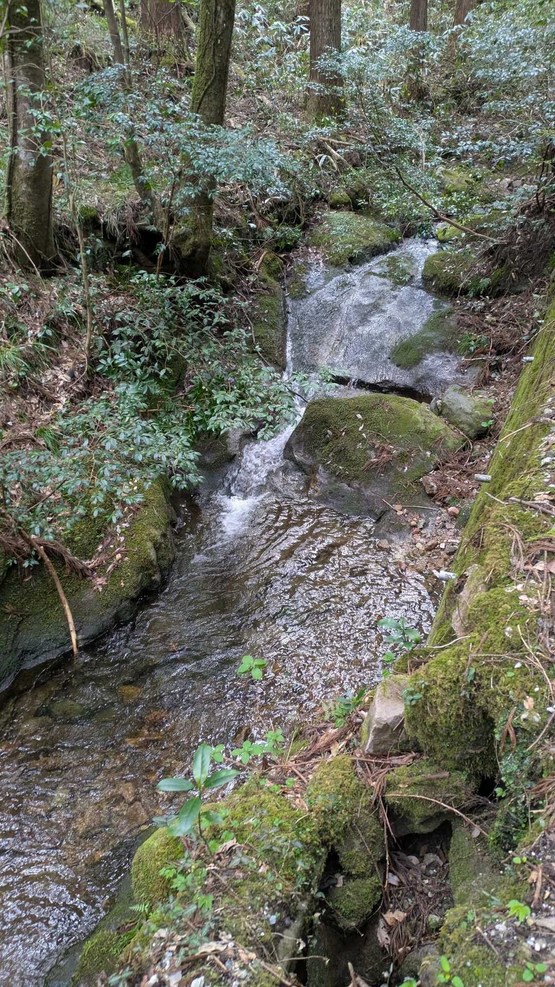 三童子山足谷登山口-三童子山-鞍掛山-西ノ谷登山口 縦走コースの写真