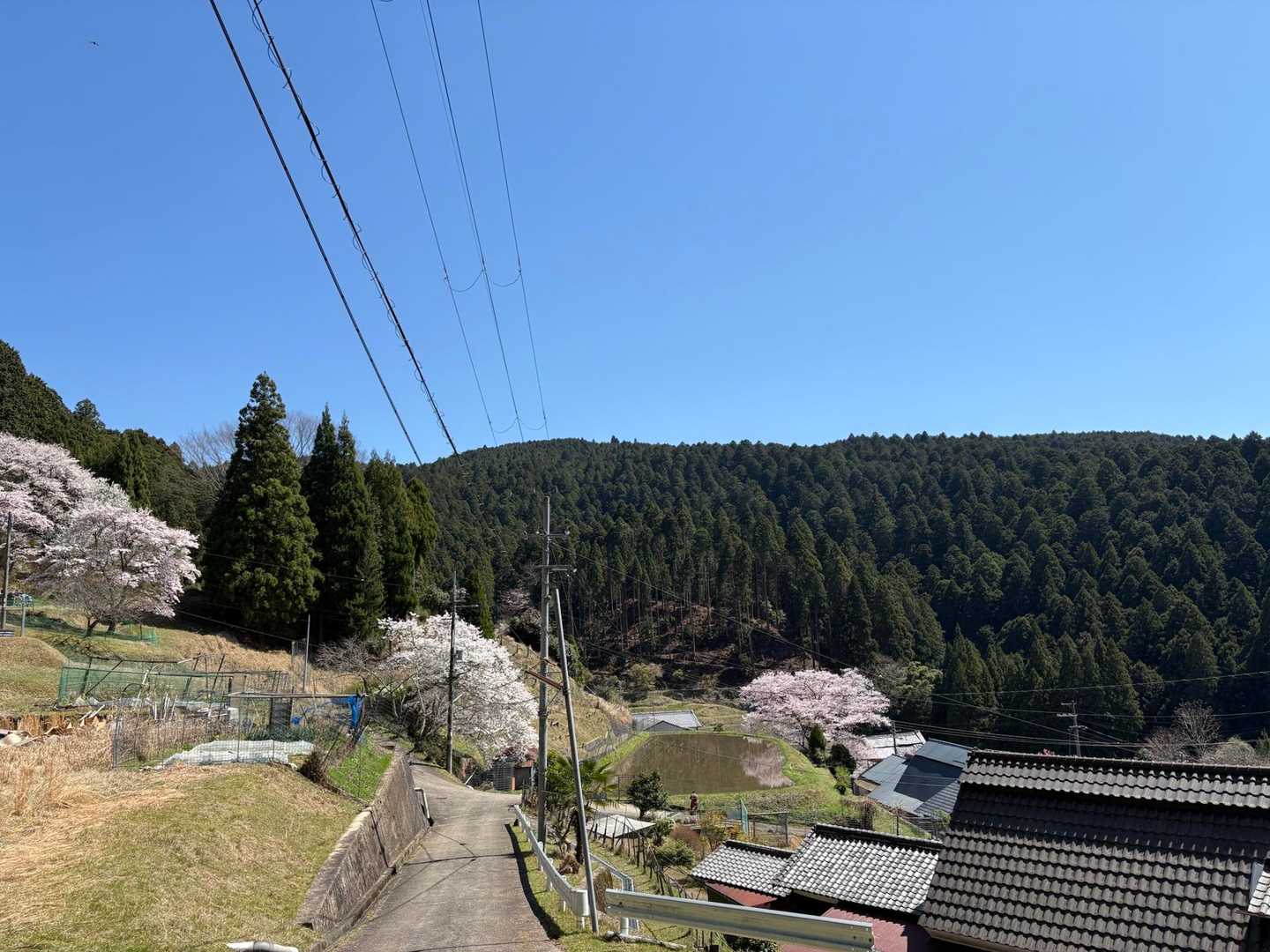振り向いて
長閑な風景
